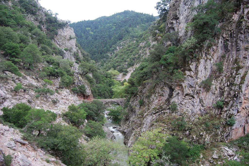 Dryades Guesthouse Ano Chora Luaran gambar